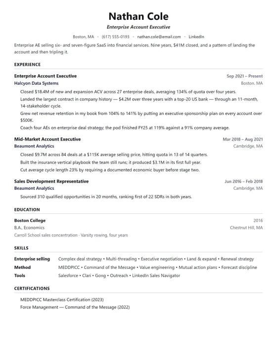 ATS Friendly Account Executive Resume Template